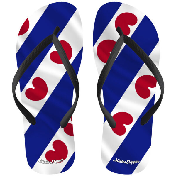 Friese vlag