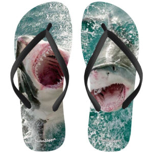 Shark Attack